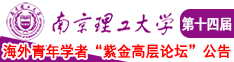 插儿BB南京理工大学第十四届海外青年学者紫金论坛诚邀海内外英才！